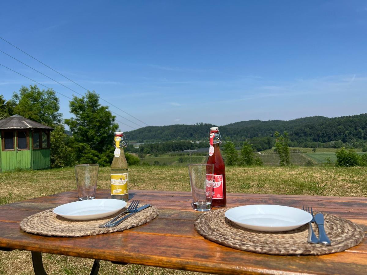 Einzigartiger Panoramablick, Bodensee Und Messe In Der Naehe Tettnang Zewnętrze zdjęcie