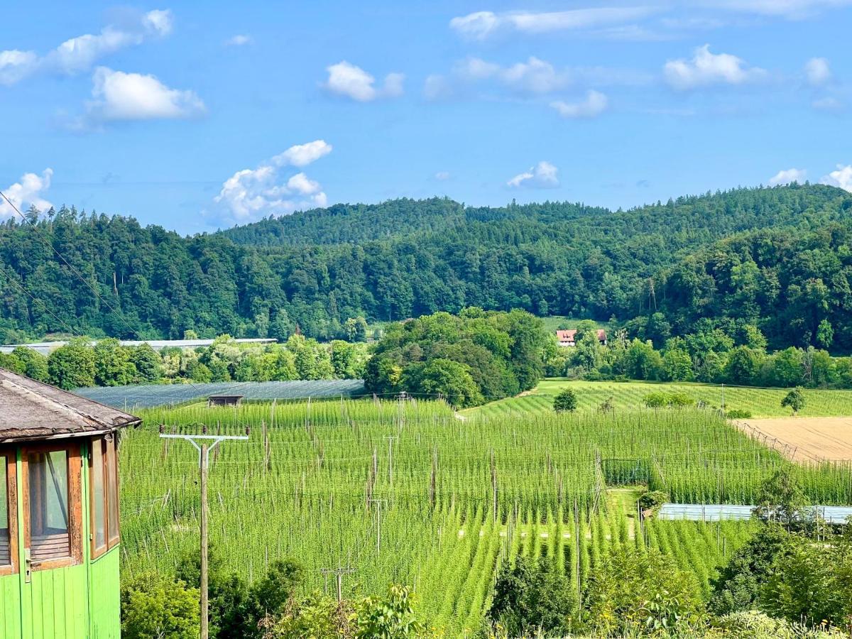 Einzigartiger Panoramablick, Bodensee Und Messe In Der Naehe Tettnang Zewnętrze zdjęcie