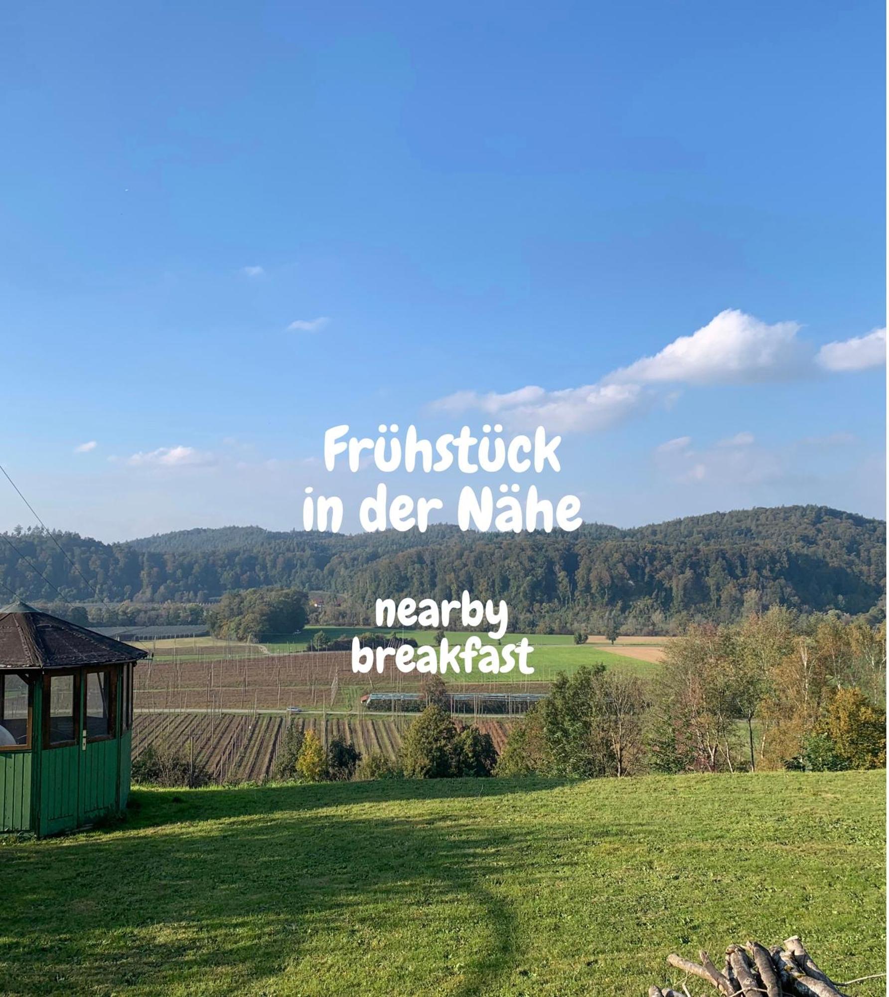 Einzigartiger Panoramablick, Bodensee Und Messe In Der Naehe Tettnang Zewnętrze zdjęcie